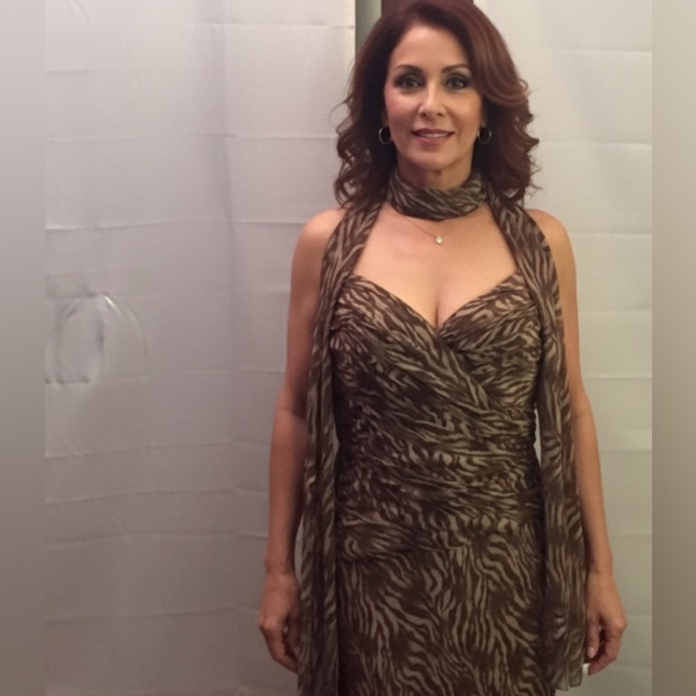 Cache Silk asymmetrical Brown Maxi Party Dress size 16